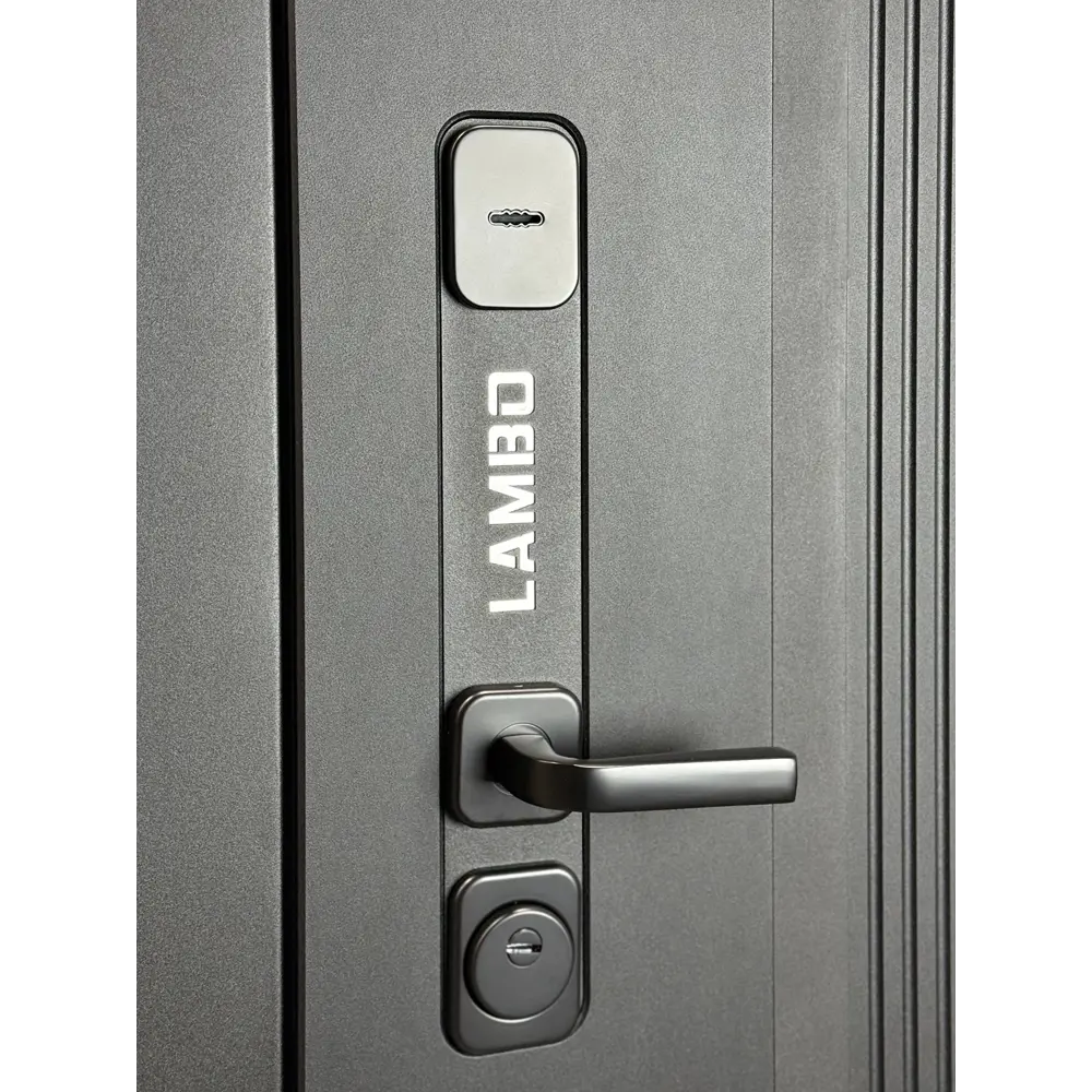 Фото 3 Входная дверь Foreman Lambo 1 левый 205x96см цвет черный кварц/беллучи Фото 3 Входная дверь Foreman Lambo 1 левый 205x96см цвет черный кварц/беллучи