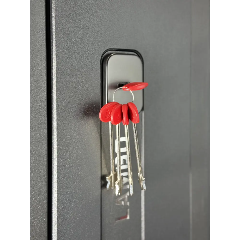 Фото 7 Входная дверь Foreman Lambo 1 левый 205x96см цвет черный кварц/беллучи Фото 7 Входная дверь Foreman Lambo 1 левый 205x96см цвет черный кварц/беллучи