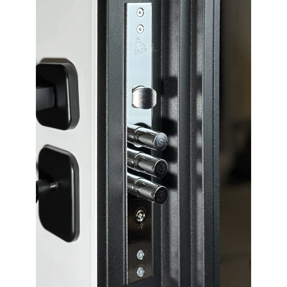 Фото 4 Входная дверь Foreman Lambo 3 правый 205x86см цвет графит/беллучи Фото 4 Входная дверь Foreman Lambo 3 правый 205x86см цвет графит/беллучи