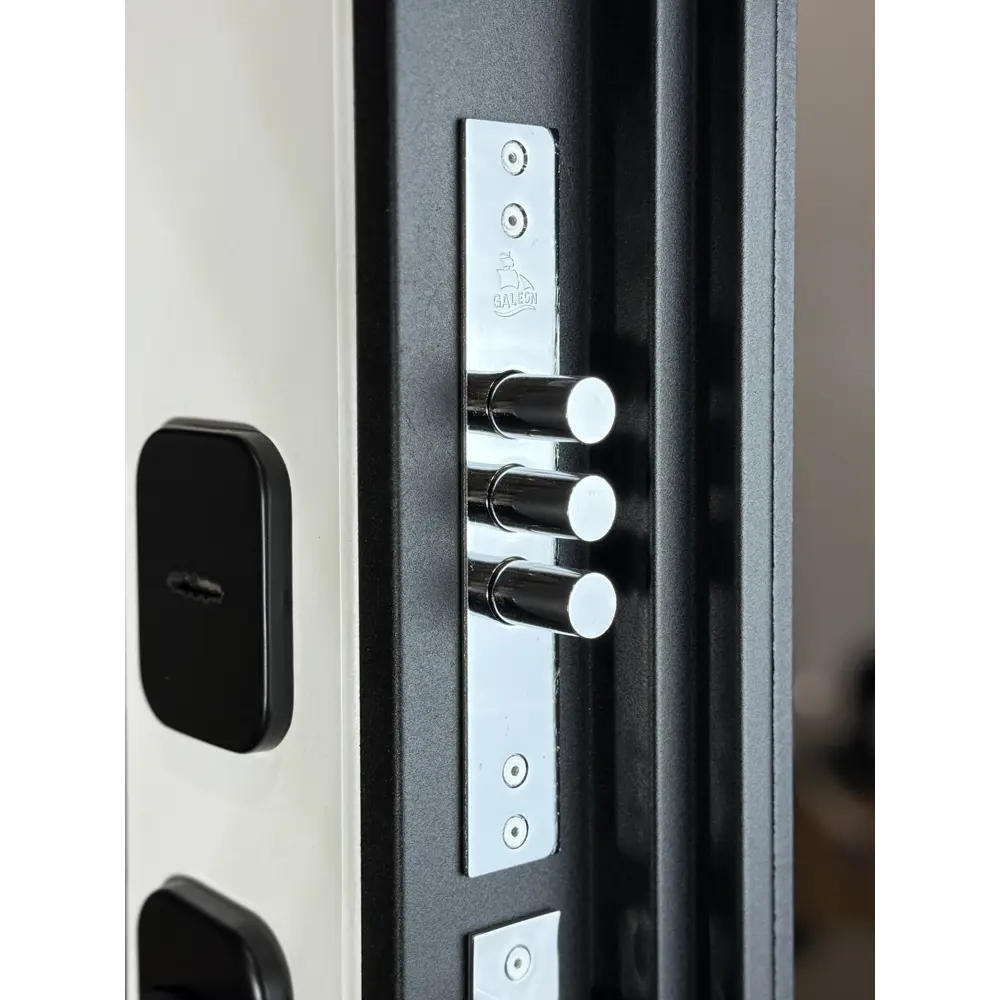 Фото 5 Входная дверь Foreman Lambo 3 правый 205x86см цвет графит/беллучи Фото 5 Входная дверь Foreman Lambo 3 правый 205x86см цвет графит/беллучи