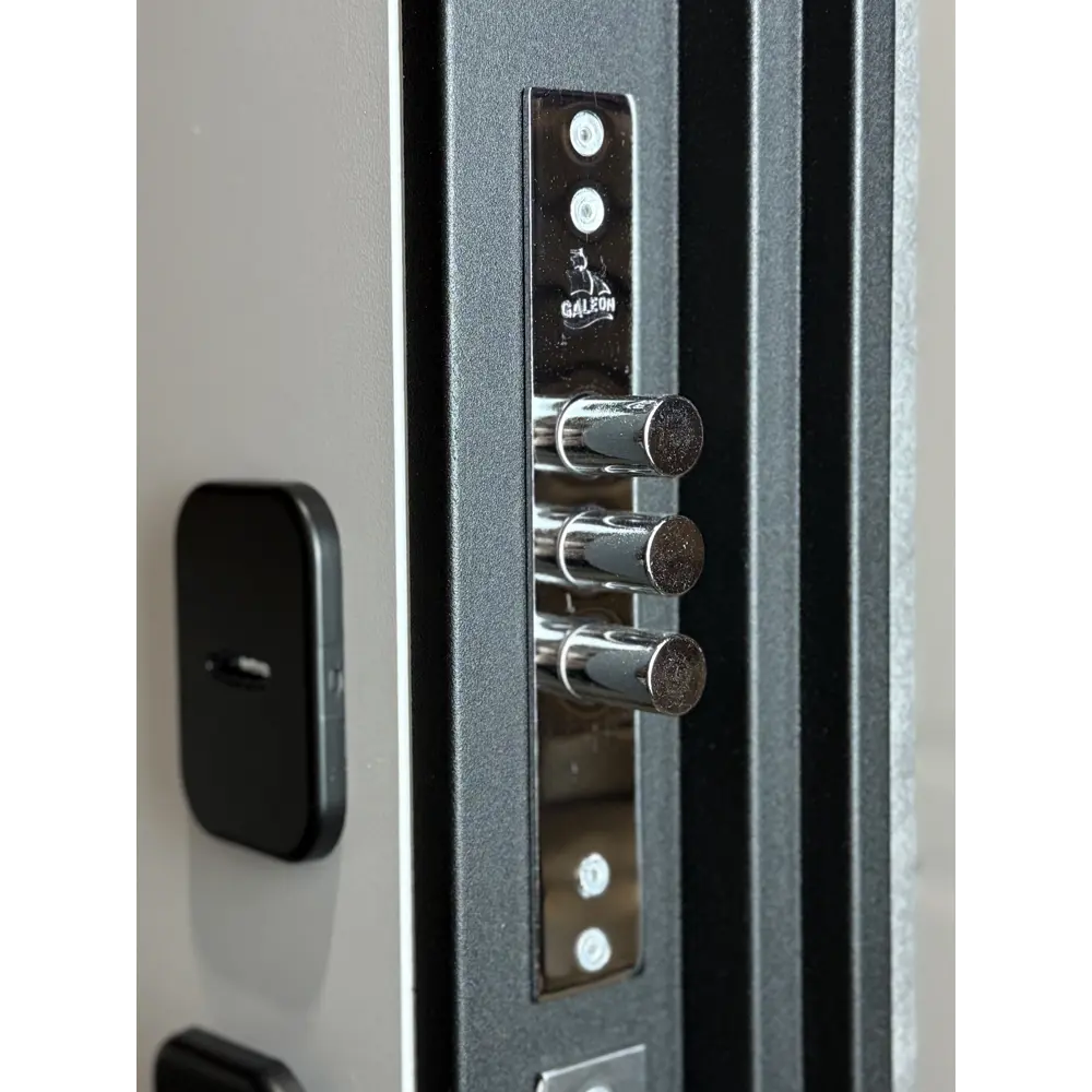 Фото 3 Входная дверь Foreman Lambo 5 левый 205x96см цвет дюна мусон/беллучи Фото 3 Входная дверь Foreman Lambo 5 левый 205x96см цвет дюна мусон/беллучи