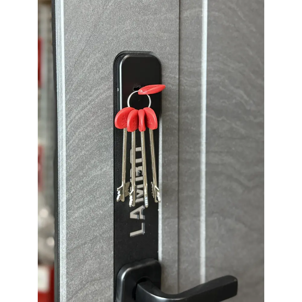 Фото 9 Входная дверь Foreman Lambo 5 левый 205x96см цвет дюна мусон/беллучи Фото 9 Входная дверь Foreman Lambo 5 левый 205x96см цвет дюна мусон/беллучи