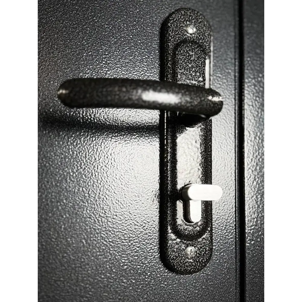 Фото 5 Входная дверь Superlock SL-2 правый 205x86см цвет антик серебро/антик серебро Фото 5 Входная дверь Superlock SL-2 правый 205x86см цвет антик серебро/антик серебро