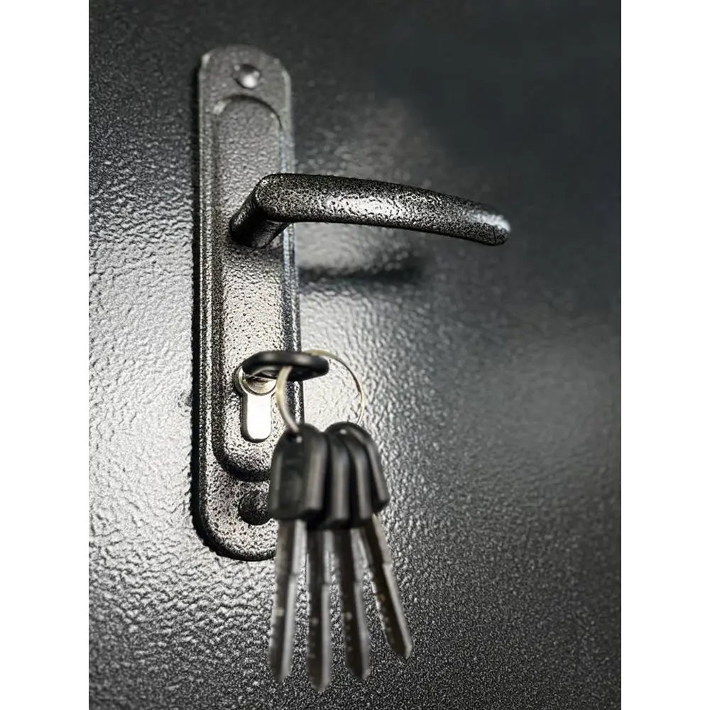 Фото 4 Входная дверь Superlock SL-2 левый 205x96см цвет антик серебро/антик серебро Фото 4 Входная дверь Superlock SL-2 левый 205x96см цвет антик серебро/антик серебро