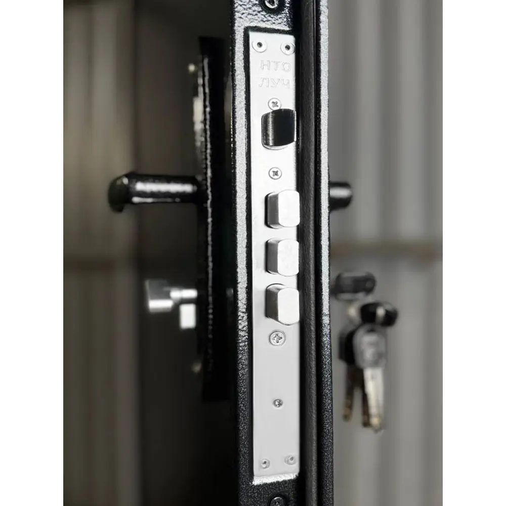 Фото 3 Входная дверь Superlock SL-2 левый 205x96см цвет антик серебро/антик серебро Фото 3 Входная дверь Superlock SL-2 левый 205x96см цвет антик серебро/антик серебро