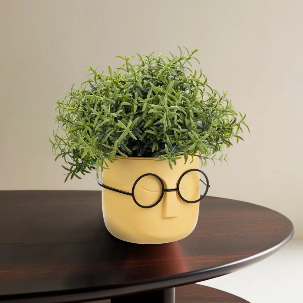 Фото 8 Кашпо для цветов Idea Стив ø11.5 h11 см v0.65 л пластик банан Фото 8 Кашпо для цветов Idea Стив ø11.5 h11 см v0.65 л пластик банан