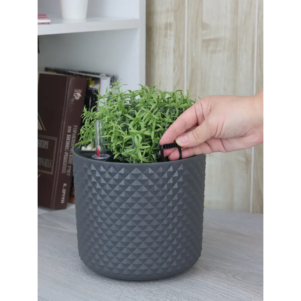 Фото 8 Кашпо для цветов Фасет ø18 h16.5 см v3.5 л с автополивом полипропилен графитовый Фото 8 Кашпо для цветов Фасет ø18 h16.5 см v3.5 л с автополивом полипропилен графитовый