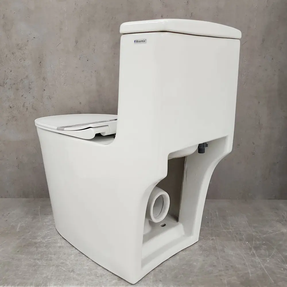 Фото 12 Унитаз-моноблок Bloomix Lowe MT3101R/UF1 безободковый Фото 12 Унитаз-моноблок Bloomix Lowe MT3101R/UF1 безободковый