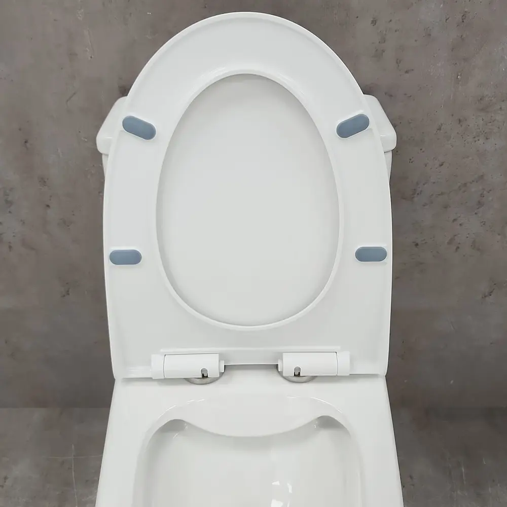 Фото 11 Унитаз-моноблок Bloomix Lowe MT3101R/UF1 безободковый Фото 11 Унитаз-моноблок Bloomix Lowe MT3101R/UF1 безободковый