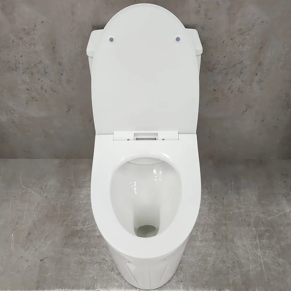 Фото 7 Унитаз-моноблок Bloomix Lowe MT3101R/UF1 безободковый Фото 7 Унитаз-моноблок Bloomix Lowe MT3101R/UF1 безободковый