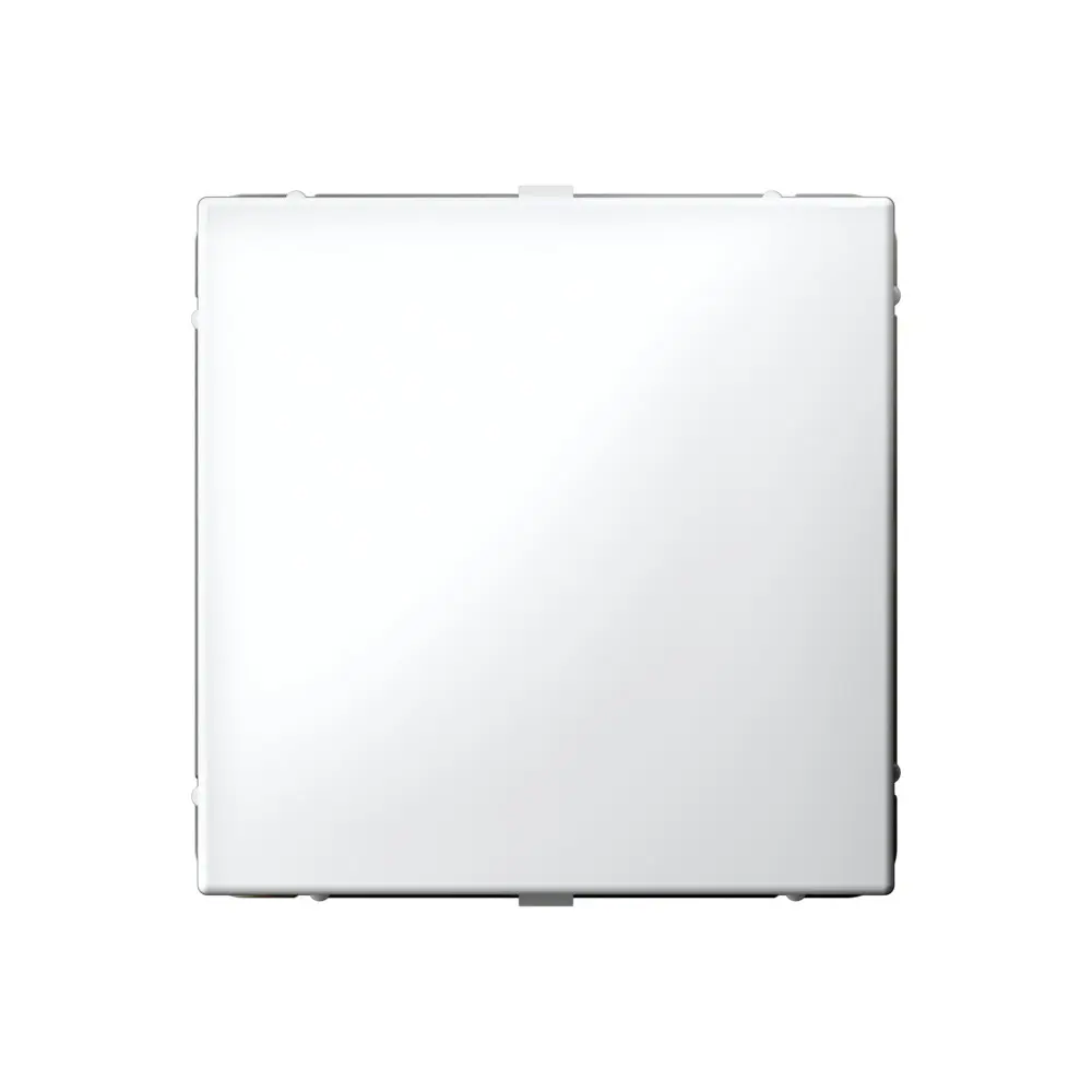 Фото Заглушка без суппорта для многопостовых рамок Systeme Electric ArtGallery GAL000109