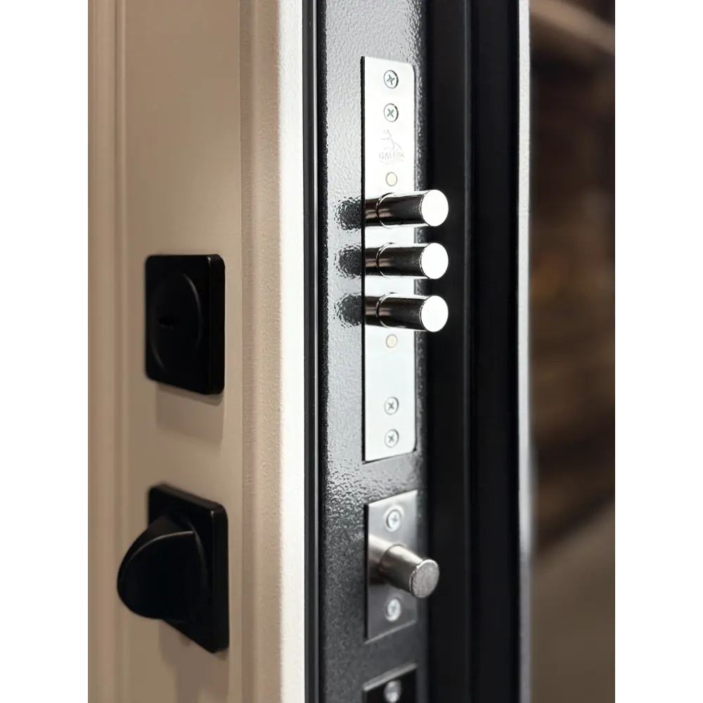 Фото 13 Входная дверь Foreman Ф-34 правый 205x96см цвет графит/белый матовый Фото 13 Входная дверь Foreman Ф-34 правый 205x96см цвет графит/белый матовый