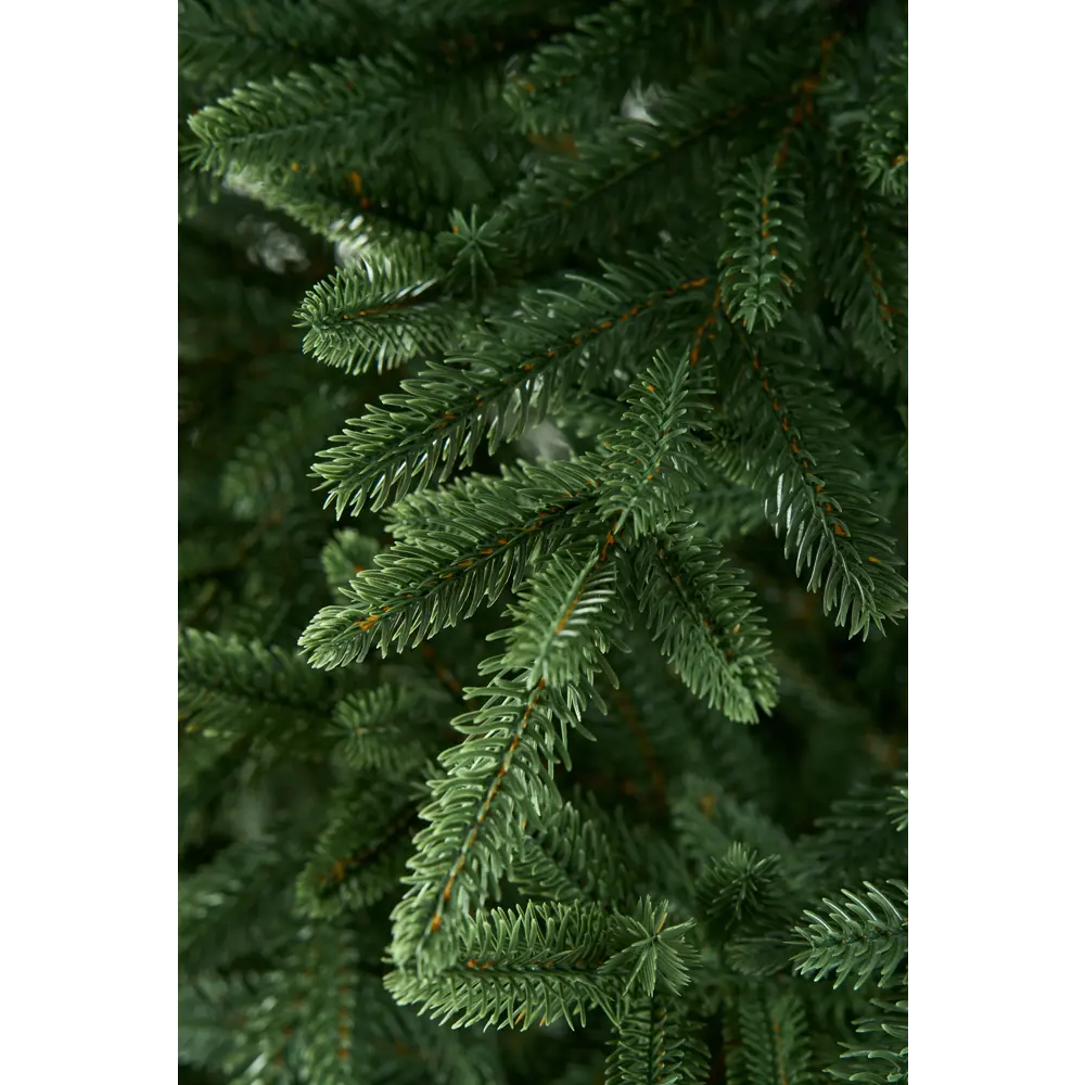 Фото Искусственная елка Max christmas ЕЛИСП 21 Испанская 210 см Фото Искусственная елка Max christmas ЕЛИСП 21 Испанская 210 см