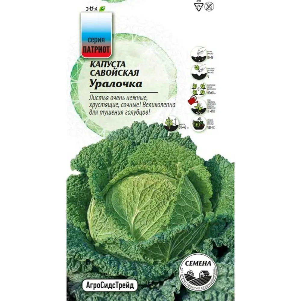 Фото 3 Семена овощей Агросидстрейд Патриот капуста савойская Уралочка