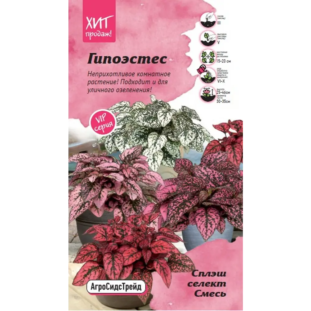 Фото Семена цветов Агросидстрейд гипоэстес Сплэш селект микс 5 шт.