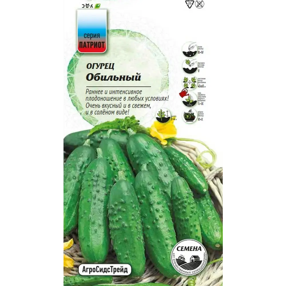 Фото Семена овощей Агросидстрейд Патриот огурец Обильный Фото Семена овощей Агросидстрейд Патриот огурец Обильный