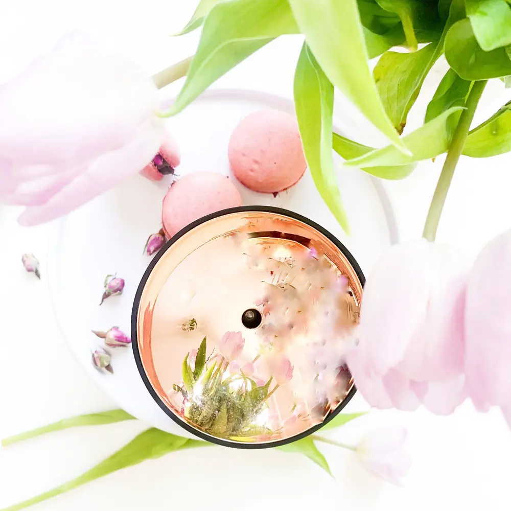 Фото 22 Аромадиффузор Stadler form Zoe Black 0.08 л с подсветкой и аромадиффузором цвет черный Фото 22 Аромадиффузор Stadler form Zoe Black 0.08 л с подсветкой и аромадиффузором цвет черный