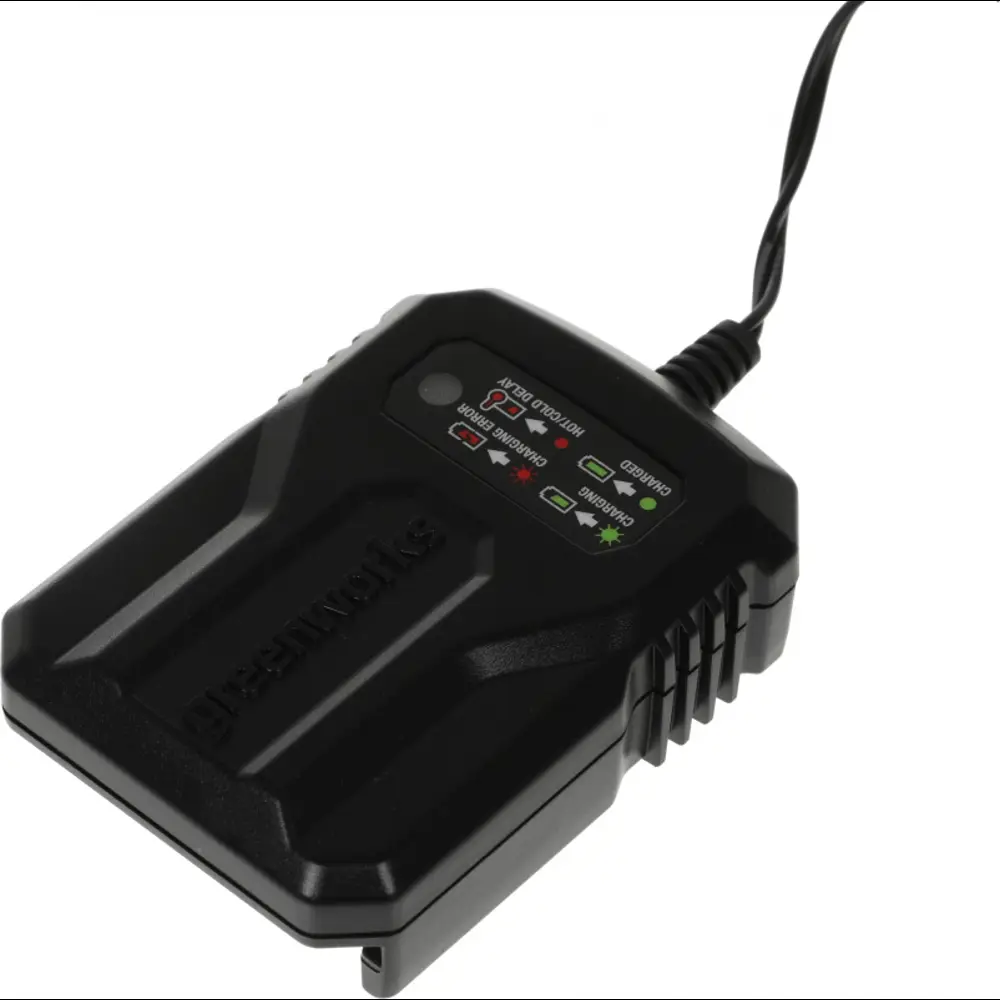 Фото Зарядное устройство для аккумуляторов Greenworks G40UCM2M