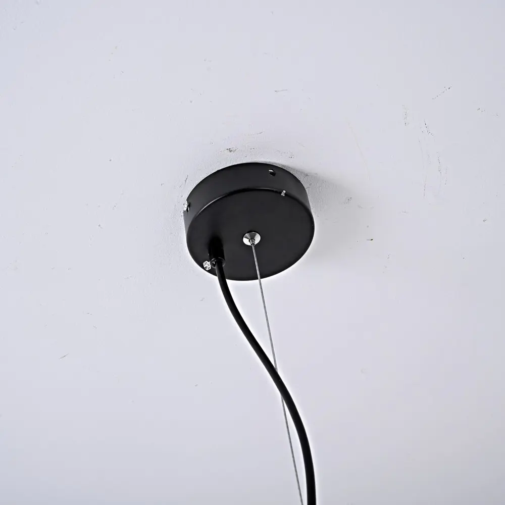 Фото 4 Светильник подвесной Imperiumloft Hat black Impr_241195-26 1 лампа 3 м² цвет черный Фото 4 Светильник подвесной Imperiumloft Hat black Impr_241195-26 1 лампа 3 м² цвет черный