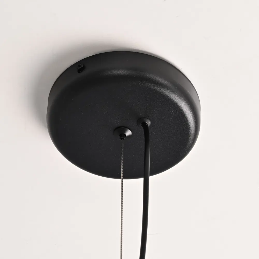 Фото 16 Светильник подвесной светодиодный Imperiumloft Zoom Impr_202712-23 9 м² нейтральный белый свет цвет прозрачный/черный Фото 16 Светильник подвесной светодиодный Imperiumloft Zoom Impr_202712-23 9 м² нейтральный белый свет цвет прозрачный/черный