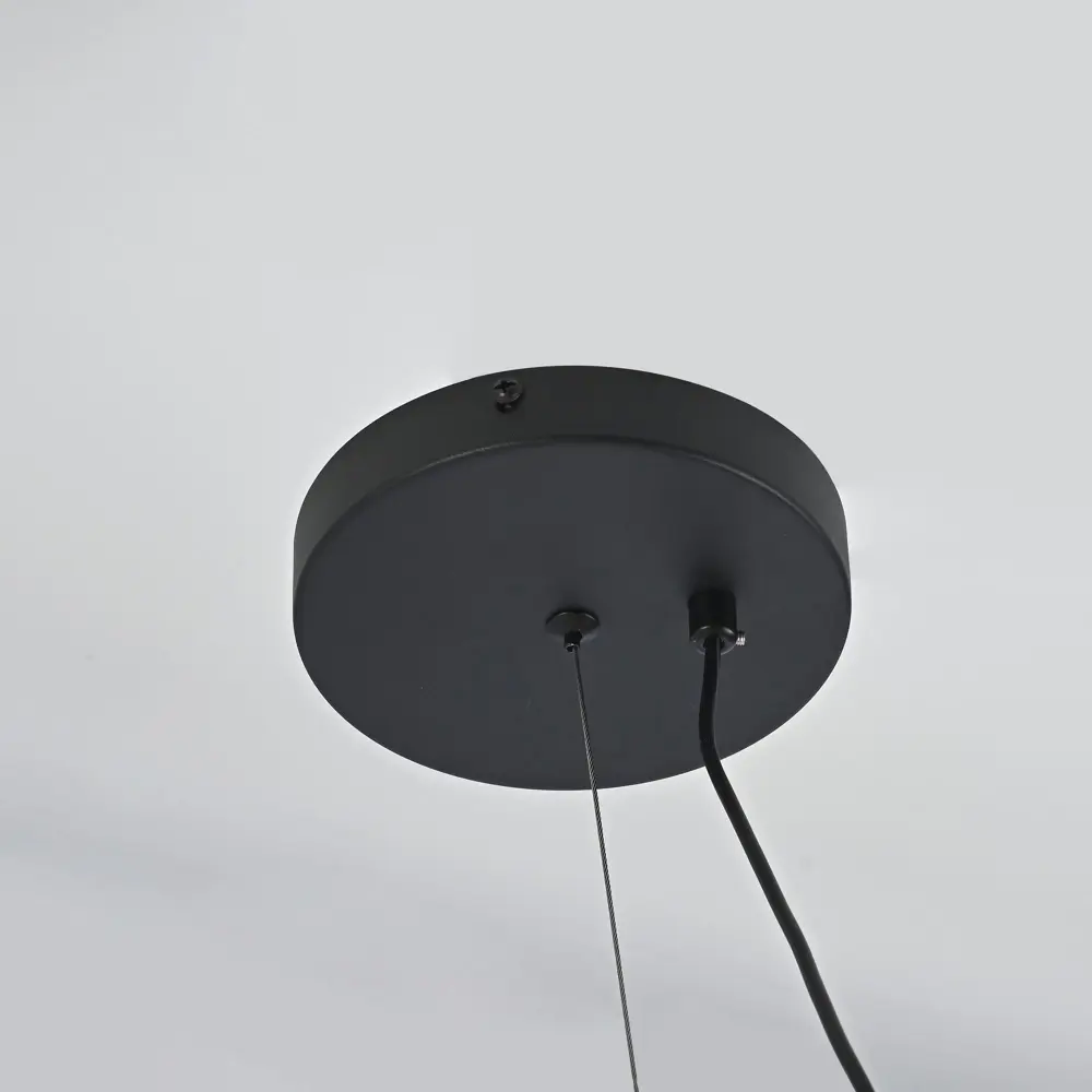 Фото 8 Светильник подвесной светодиодный Imperiumloft Cary Impr_151261-26 20 м² белый свет цвет белый/черный Фото 8 Светильник подвесной светодиодный Imperiumloft Cary Impr_151261-26 20 м² белый свет цвет белый/черный