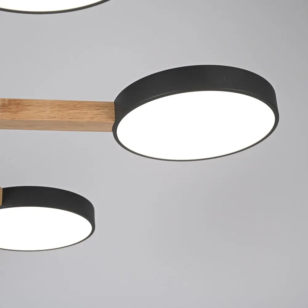 Фото 12 Люстра подвесная светодиодная Imperiumloft Turna black Impr_178336-26 22 м² белый свет цвет черный