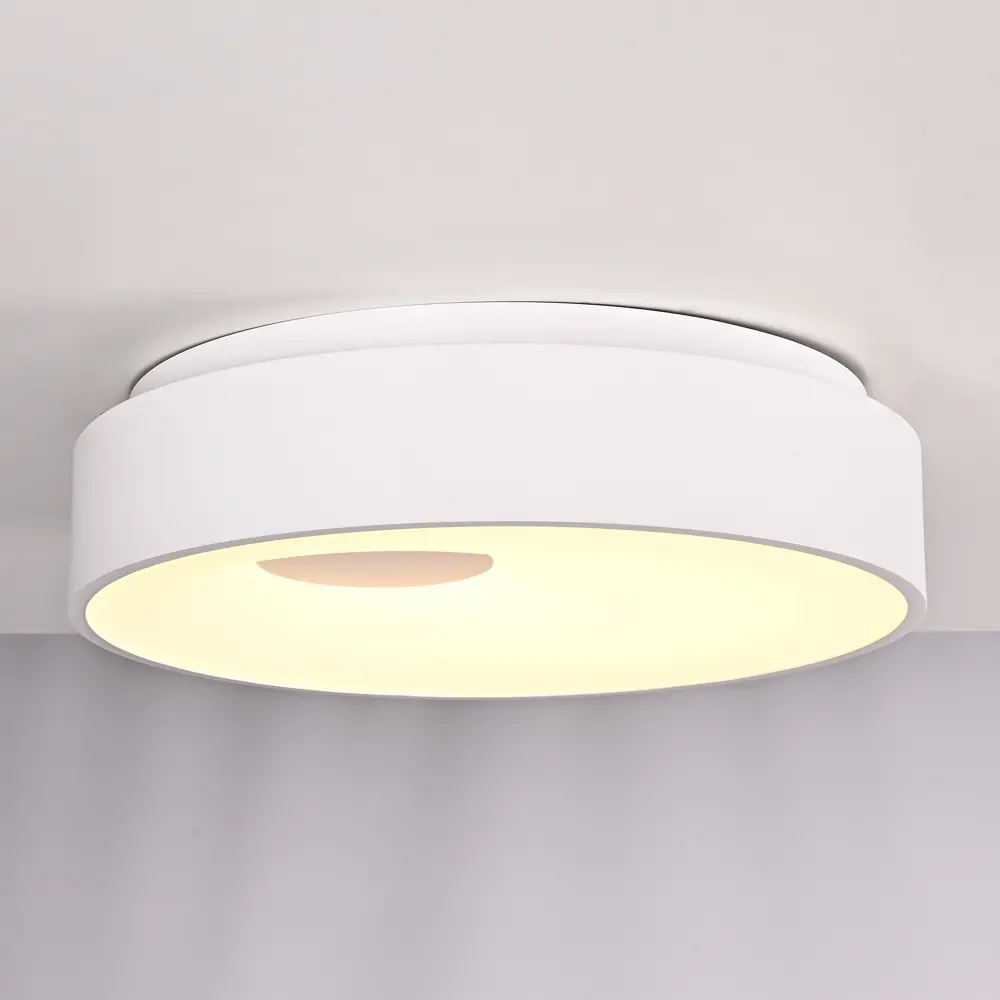 Фото 8 Светильник потолочный светодиодный Imperiumloft Ecla Impr_189550-26 10 м² белый свет цвет белый Фото 8 Светильник потолочный светодиодный Imperiumloft Ecla Impr_189550-26 10 м² белый свет цвет белый