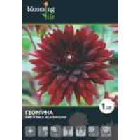 слайд 0