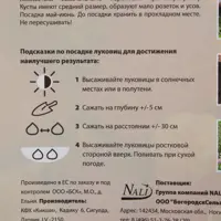 слайд 3