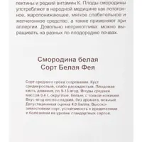 слайд 3