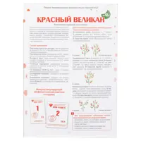 слайд 0