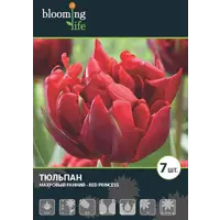 слайд 0
