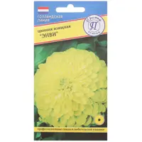 слайд 0