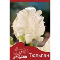 слайд 0