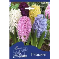 слайд 0