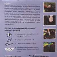 слайд 2