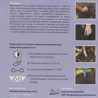 слайд 3