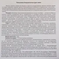 слайд 2