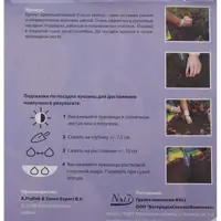 слайд 2