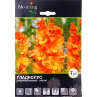 слайд 0