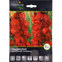 слайд 0