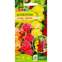 слайд 0
