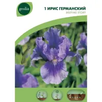 слайд 0