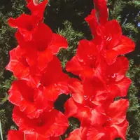 слайд 0