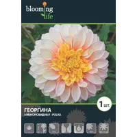 слайд 0