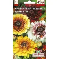 слайд 0