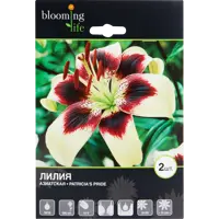 слайд 0