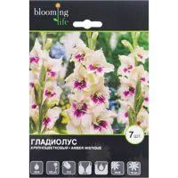 слайд 0