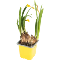 слайд 0