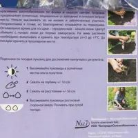 слайд 3